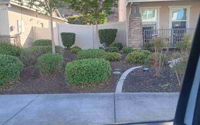Photo of Jennifer C.'s yard after getting landscaping in San Jacinto, CA