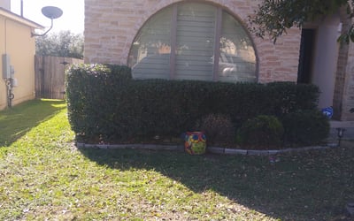 Photo of Heather B.'s yard after getting landscaping in Vanderpool, TX
