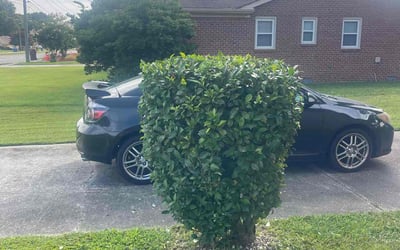 Photo of Michael F.'s yard after getting landscaping in Gwynn, VA
