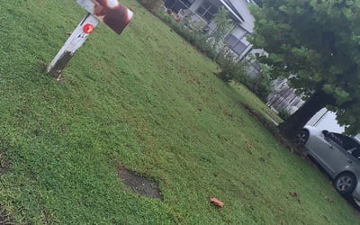 Photo of Melissa M.'s yard after getting landscaping in Bradley, FL