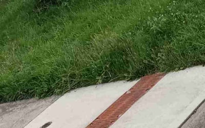 Photo of Sharon M.'s yard after getting landscaping in Mount Gilead, OH