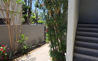 Photo of Yannes F.'s yard after getting landscaping in Venice, CA