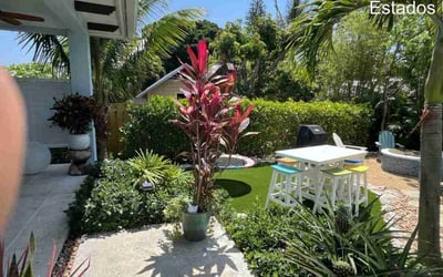 Photo of Carlos S.'s yard after getting tree care in Longboat Key, FL