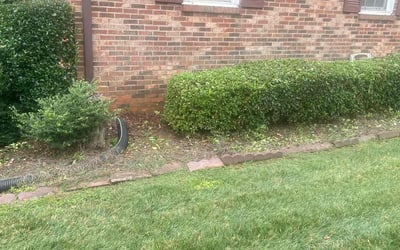 Photo of Luanne J.'s yard after getting tree care in Matthews, NC