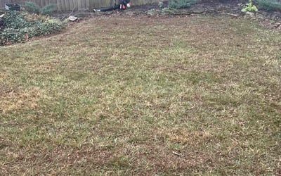 Photo of Megan M.'s yard after getting landscaping in Brooksville, KY