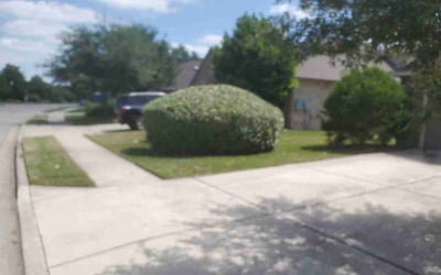 Photo of Jennifer S.'s yard after getting landscaping in Fentress, TX