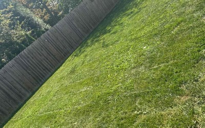 Photo of Nancy R.'s yard after getting landscaping in Exton, PA