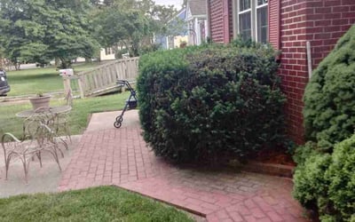 Photo of Louise A.'s yard after getting tree care in Hayes, VA