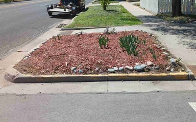 Photo of Angela L.'s yard after getting landscaping in Greeley, CO