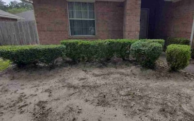 Photo of Peggy B.'s yard after getting landscaping in Sealy, TX
