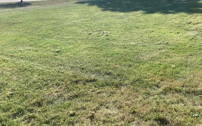Photo of Nathan B.'s yard after getting landscaping in New Richmond, OH