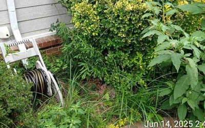 Photo of Andrew C.'s yard after getting landscaping in Memphis, TN