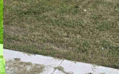Photo of Michael F.'s yard after getting landscaping in Mount Holly, NC