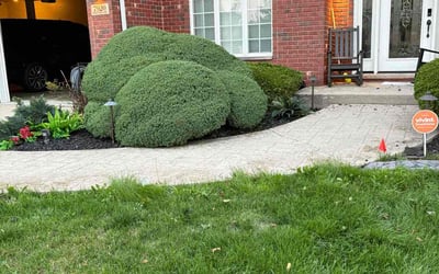 Photo of Tomeka H.'s yard after getting landscaping in Frankfort, IL