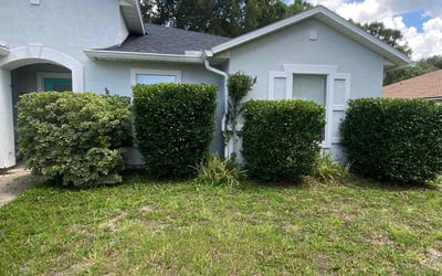 Photo of Sarah H.'s yard after getting landscaping in Yulee, FL