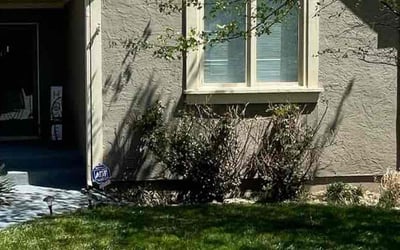 Photo of Beatrice D.'s yard after getting landscaping in Hamilton, MO