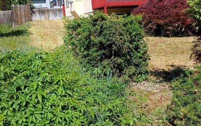 Photo of Angela S.'s yard after getting landscaping in Cheney, WA