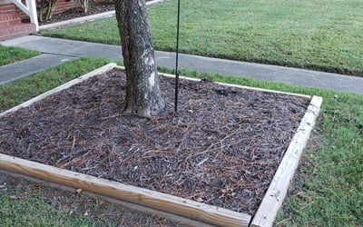 Photo of William T.'s yard after getting landscaping in Lightfoot, VA