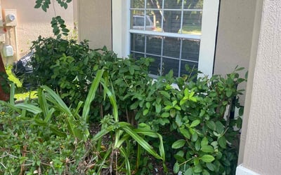Photo of Joshua L.'s yard after getting landscaping in Tangerine, FL