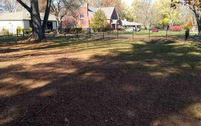 Photo of Josh D.'s yard after getting landscaping in Mooresville, IN