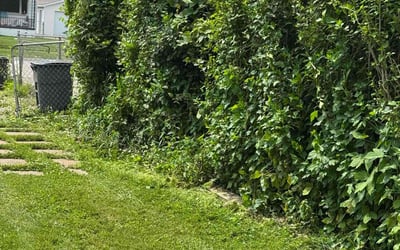 Photo of Scott C.'s yard after getting landscaping in Madison Heights, MI