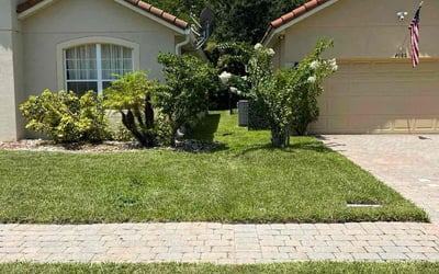 Photo of Nneka N.'s yard after getting tree care in Rockledge, FL