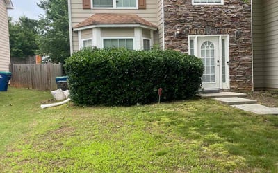Photo of Brittany H.'s yard after getting landscaping in Atlanta, GA