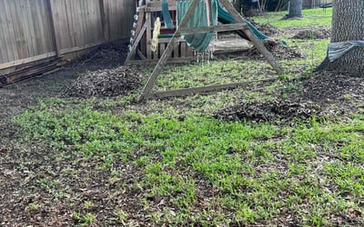 Photo of Kenneth M.'s yard after getting landscaping in League City, TX