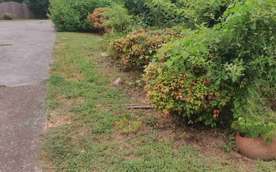 Photo of Samantha M.'s yard after getting landscaping in Huntsville, AL