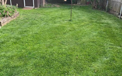 Photo of Brenda C.'s yard after getting landscaping in West Jefferson, OH