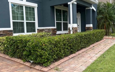 Photo of Mark S.'s yard after getting landscaping in Oakland, FL