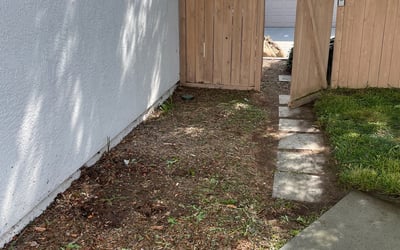 Photo of Andrea S.'s yard after getting landscaping in San Marcos, CA