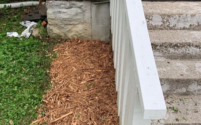Photo of Ashley S.'s yard after getting landscaping in Creighton, MO