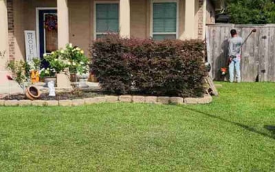 Photo of Steve K.'s yard after getting tree care in New Orleans, LA