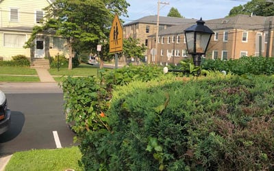 Photo of Jamile W.'s yard after getting landscaping in Lansdowne, PA