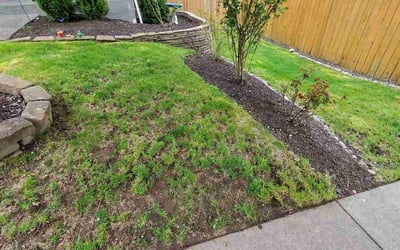 Photo of Serina A.'s yard after getting lawn care in Stanwood, WA