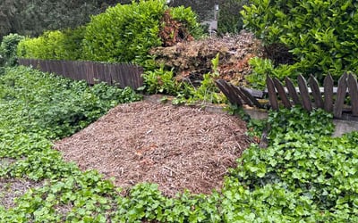 Photo of Danielle H.'s yard after getting landscaping in Gig Harbor, WA