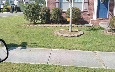 Photo of Terrance W.'s yard after getting landscaping in Crouse, NC