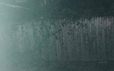 Photo of Emily M.'s yard after getting landscaping in Medford, NJ