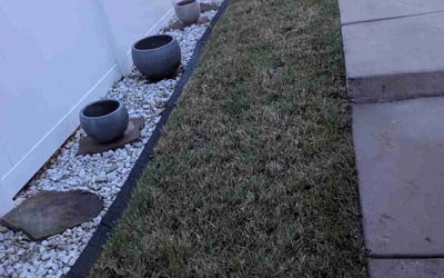 Photo of Donna D.'s yard after getting landscaping in Waxhaw, NC