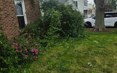 Photo of Rick M.'s yard after getting landscaping in Carol Stream, IL