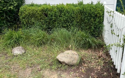 Photo of Melissa H.'s yard after getting landscaping in Warren, OH