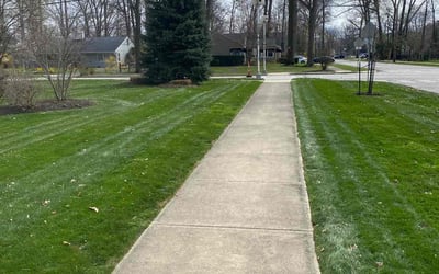 Photo of Jana R.'s yard after getting landscaping in Bay Village, OH