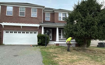 Photo of Ananda R.'s yard after getting tree care in Charles Town, WV