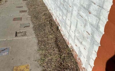 Photo of Ravi G.'s yard after getting tree care in Paradise Valley, AZ