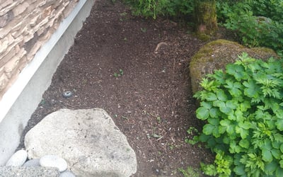 Photo of Mary K.'s yard after getting landscaping in Orting, WA