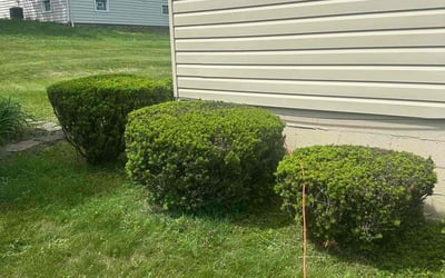 Photo of Mary R.'s yard after getting landscaping in New Kensington, PA