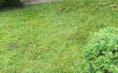 Photo of Chris P.'s yard after getting landscaping in Charlestown, IN
