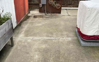 Photo of Samuel M.'s yard after getting tree care in Stockton, CA