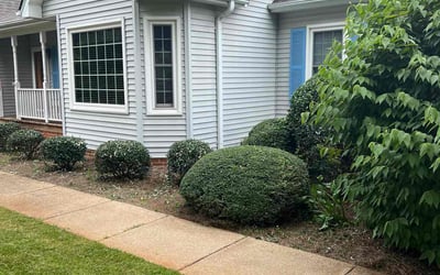 Photo of Paul S.'s yard after getting landscaping in Spartanburg, SC